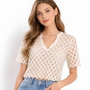 Sandro V-neck pattern lace top